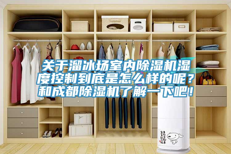關(guān)于溜冰場室內(nèi)除濕機(jī)濕度控制到底是怎么樣的呢？和成都除濕機(jī)了解一下吧！
