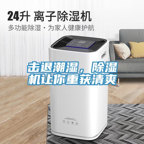 擊退潮濕，除濕機讓你重獲清爽