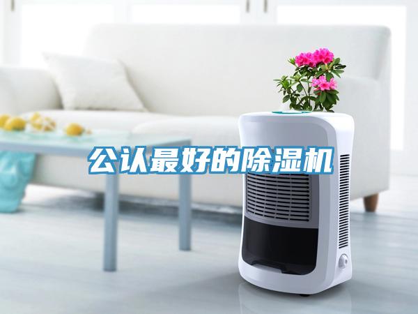 公認最好的除濕機