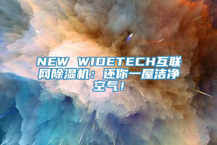 NEW WIDETECH互聯(lián)網(wǎng)除濕機(jī)：還你一屋潔凈空氣！