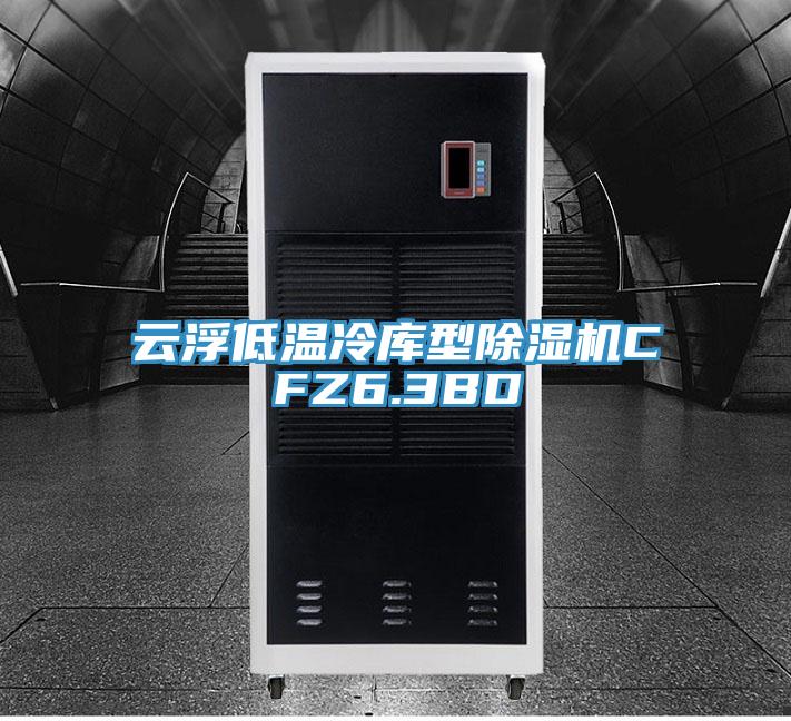 云浮低溫冷庫(kù)型除濕機(jī)CFZ6.3BD
