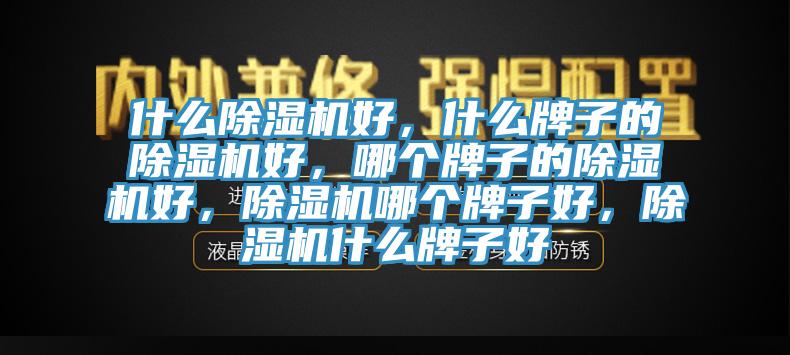 什么除濕機好，什么牌子的除濕機好，哪個牌子的除濕機好，除濕機哪個牌子好，除濕機什么牌子好