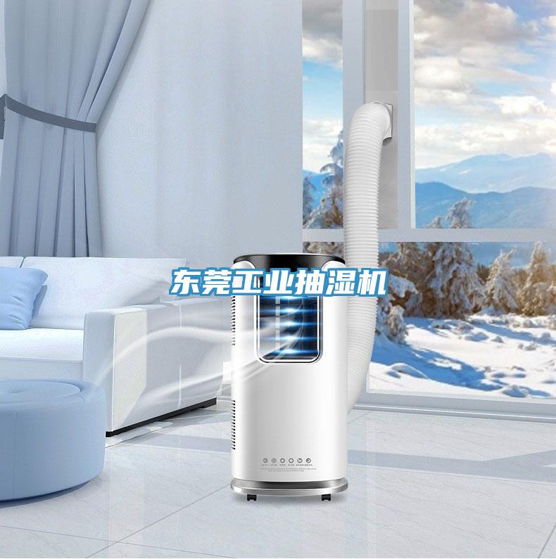 東莞工業(yè)抽濕機(jī)