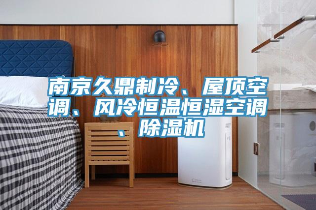 南京久鼎制冷、屋頂空調(diào)、風冷恒溫恒濕空調(diào)、除濕機