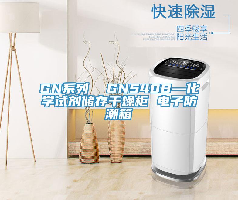 GN系列  GN540B—化學(xué)試劑儲存干燥柜 電子防潮箱