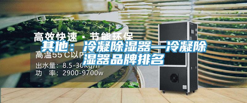 其他:冷凝除濕器—冷凝除濕器品牌排名