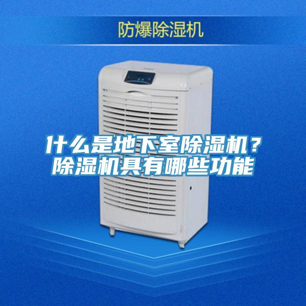 什么是地下室除濕機？除濕機具有哪些功能