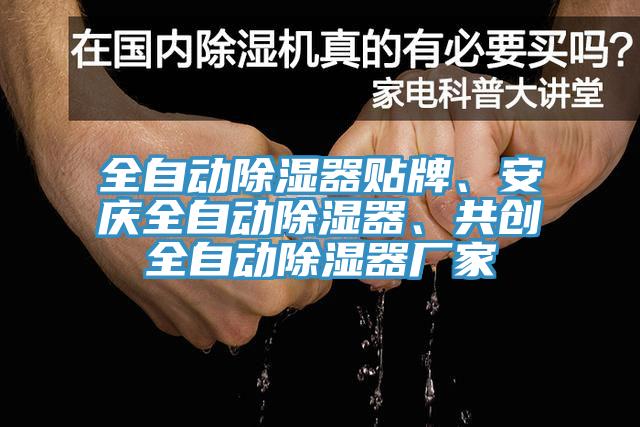 全自動除濕器貼牌、安慶全自動除濕器、共創(chuàng)全自動除濕器廠家