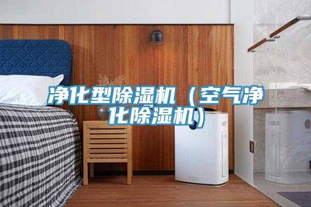 凈化型除濕機(空氣凈化除濕機)