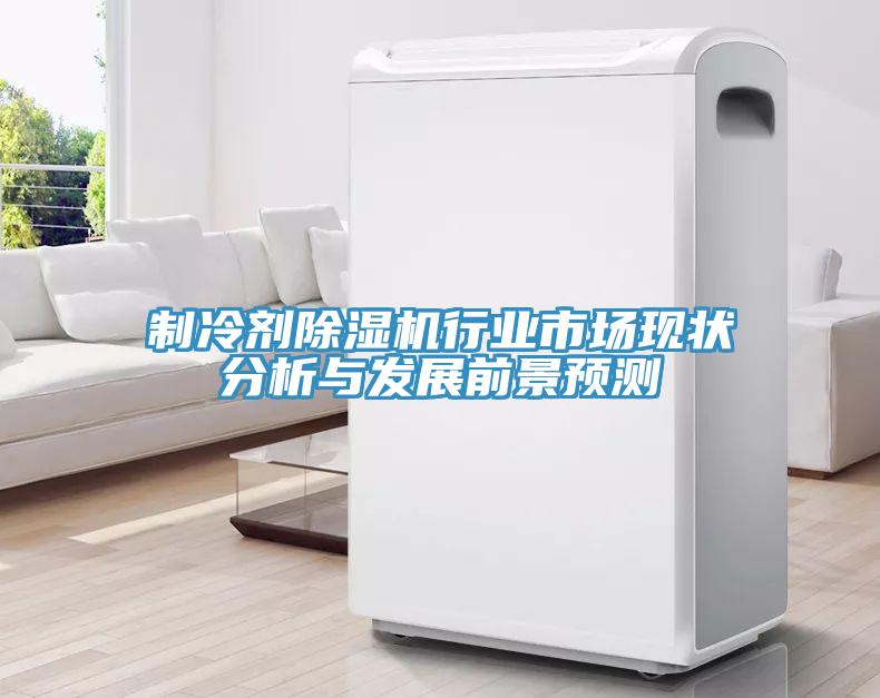 制冷劑除濕機(jī)行業(yè)市場(chǎng)現(xiàn)狀分析與發(fā)展前景預(yù)測(cè)