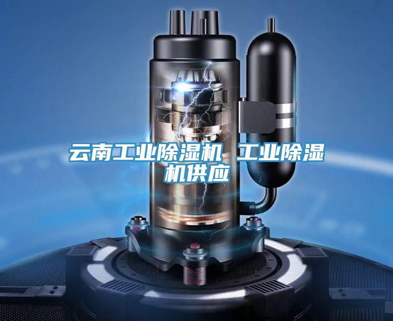 云南工業(yè)除濕機(jī) 工業(yè)除濕機(jī)供應(yīng)