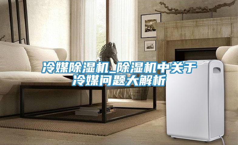 冷媒除濕機(jī)_除濕機(jī)中關(guān)于冷媒問(wèn)題大解析