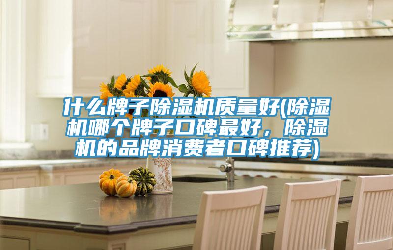 什么牌子除濕機質(zhì)量好(除濕機哪個牌子口碑最好，除濕機的品牌消費者口碑推薦)