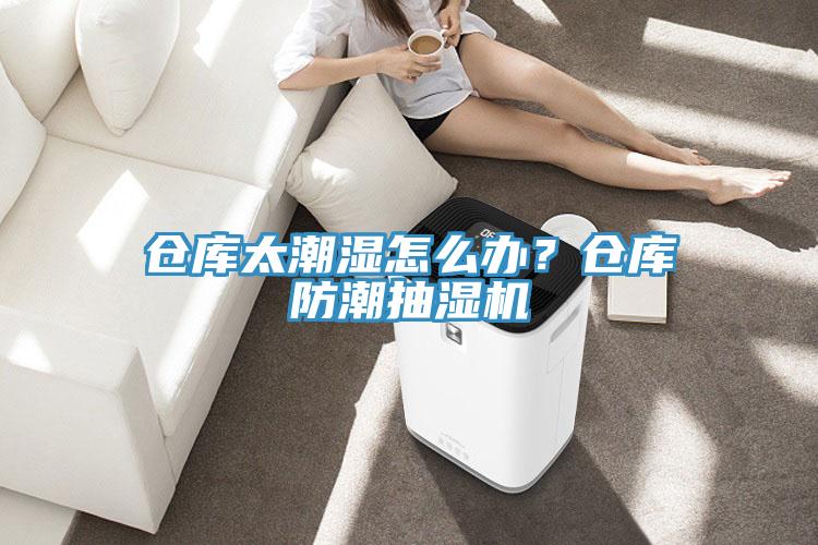 倉(cāng)庫(kù)太潮濕怎么辦？倉(cāng)庫(kù)防潮抽濕機(jī)