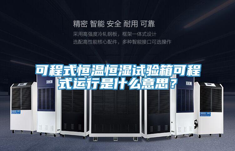 可程式恒溫恒濕試驗箱可程式運行是什么意思？