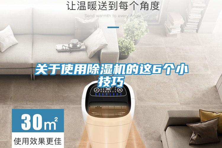關(guān)于使用除濕機的這6個小技巧