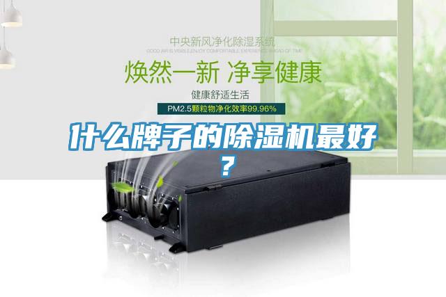 什么牌子的除濕機最好？