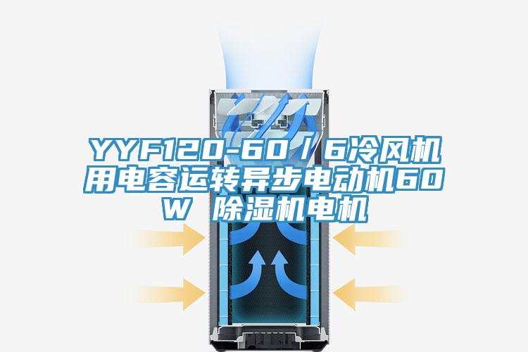 YYF120-60／6冷風(fēng)機(jī)用電容運(yùn)轉(zhuǎn)異步電動(dòng)機(jī)60W 除濕機(jī)電機(jī)