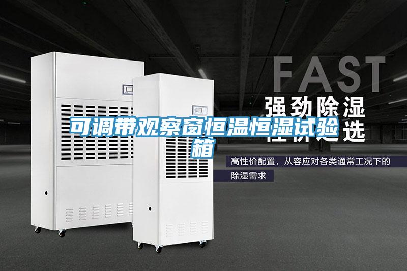 可調(diào)帶觀察窗恒溫恒濕試驗(yàn)箱
