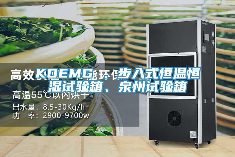 KOEMG 、步入式恒溫恒濕試驗箱、泉州試驗箱