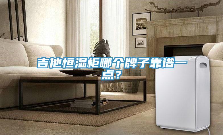 吉他恒濕柜哪個(gè)牌子靠譜一點(diǎn)？