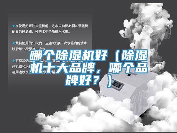 哪個除濕機好（除濕機十大品牌，哪個品牌好？）