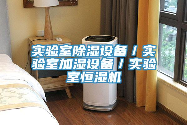 實(shí)驗(yàn)室除濕設(shè)備／實(shí)驗(yàn)室加濕設(shè)備／實(shí)驗(yàn)室恒濕機(jī)