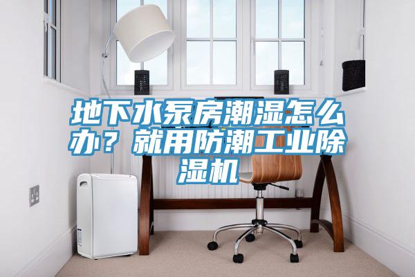 地下水泵房潮濕怎么辦？就用防潮工業(yè)除濕機(jī)