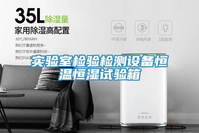 實(shí)驗(yàn)室檢驗(yàn)檢測設(shè)備恒溫恒濕試驗(yàn)箱