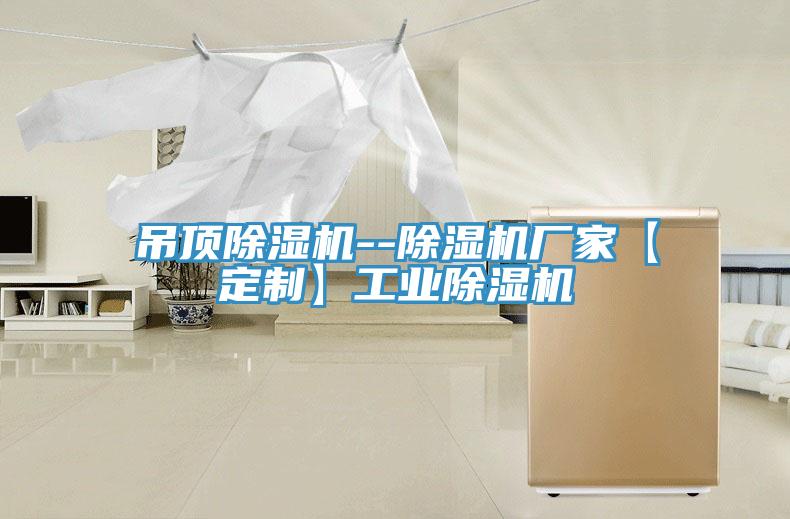 吊頂除濕機(jī)--除濕機(jī)廠家【定制】工業(yè)除濕機(jī)