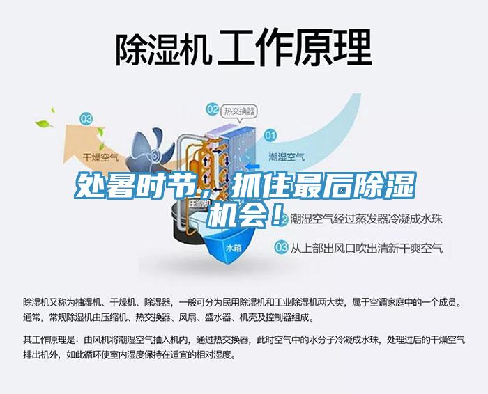 處暑時(shí)節(jié)，抓住最后除濕機(jī)會(huì)！