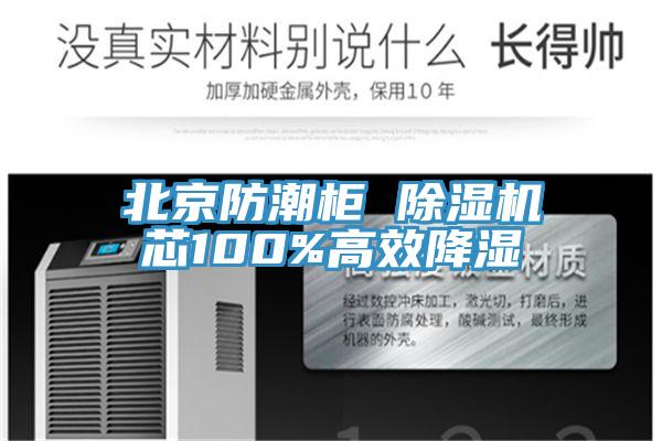 北京防潮柜 除濕機(jī)芯100%高效降濕