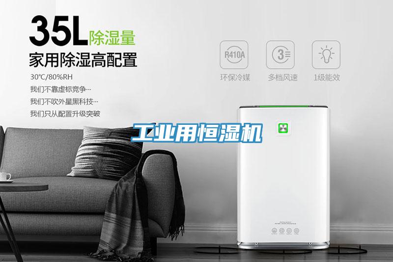 工業(yè)用恒濕機
