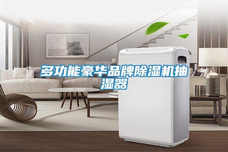 多功能豪華品牌除濕機(jī)抽濕器