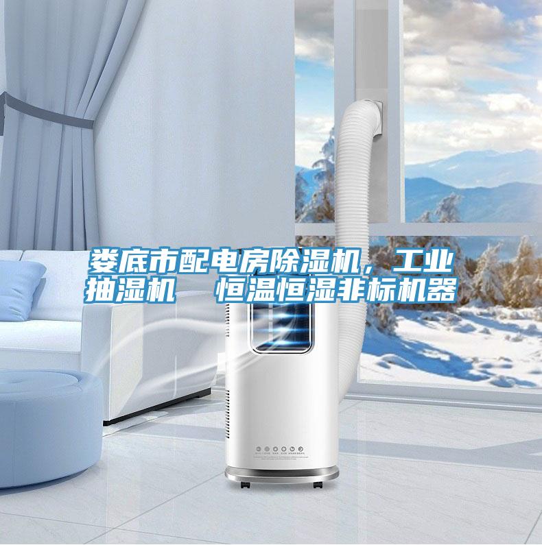 婁底市配電房除濕機，工業(yè)抽濕機  恒溫恒濕非標機器
