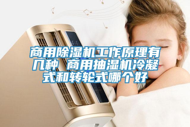 商用除濕機(jī)工作原理有幾種 商用抽濕機(jī)冷凝式和轉(zhuǎn)輪式哪個(gè)好