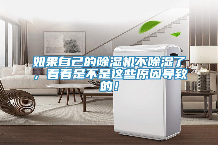如果自己的除濕機(jī)不除濕了，看看是不是這些原因?qū)е碌模?></div>
								<div   id=
