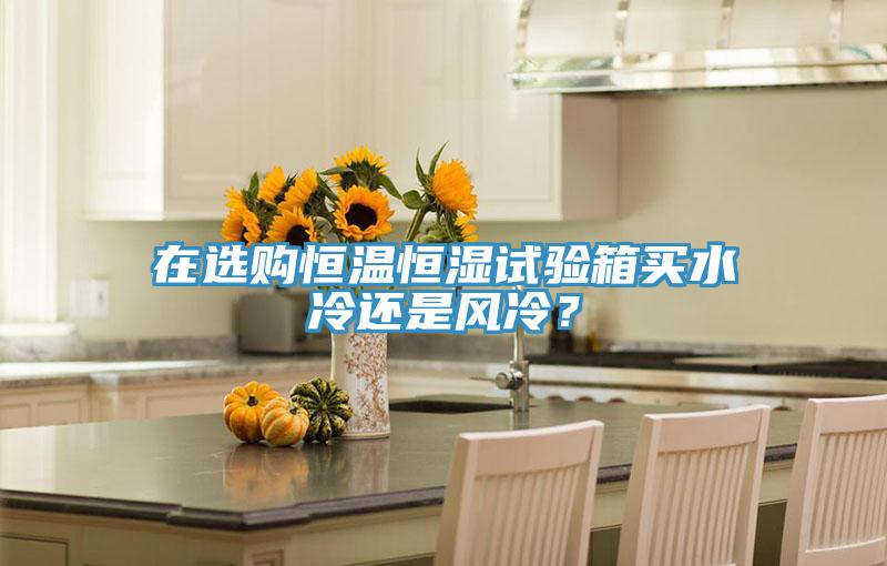 在選購恒溫恒濕試驗(yàn)箱買水冷還是風(fēng)冷？
