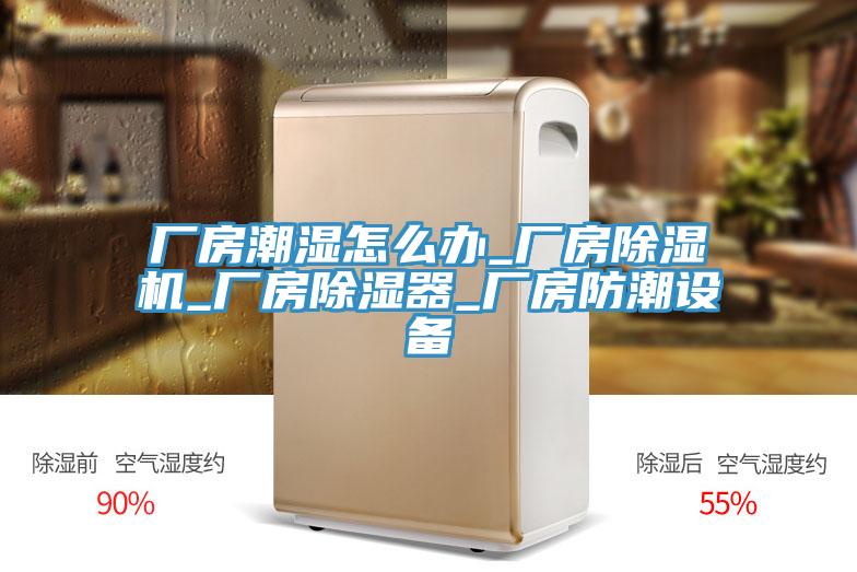 廠房潮濕怎么辦_廠房除濕機_廠房除濕器_廠房防潮設(shè)備