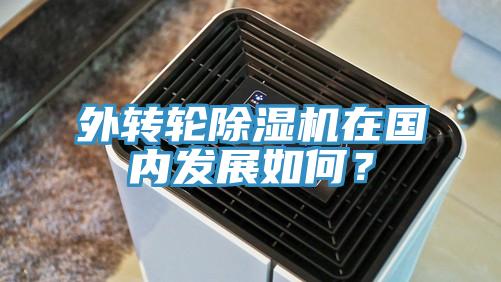 外轉(zhuǎn)輪除濕機(jī)在國內(nèi)發(fā)展如何？