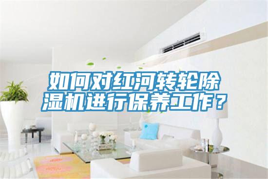 如何對(duì)紅河轉(zhuǎn)輪除濕機(jī)進(jìn)行保養(yǎng)工作？