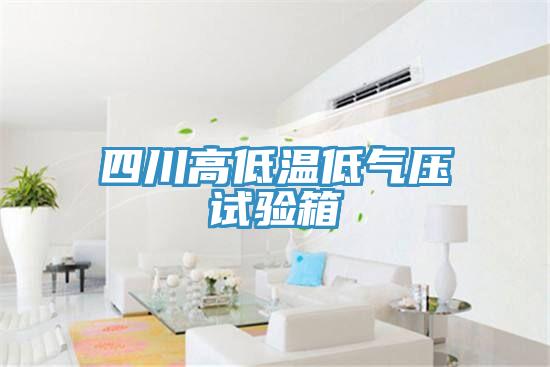 四川高低溫低氣壓試驗(yàn)箱