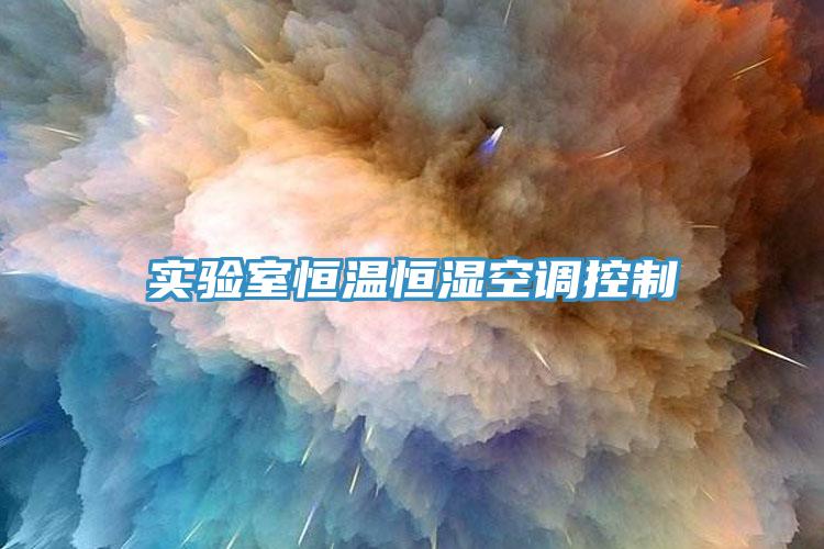 實驗室恒溫恒濕空調(diào)控制