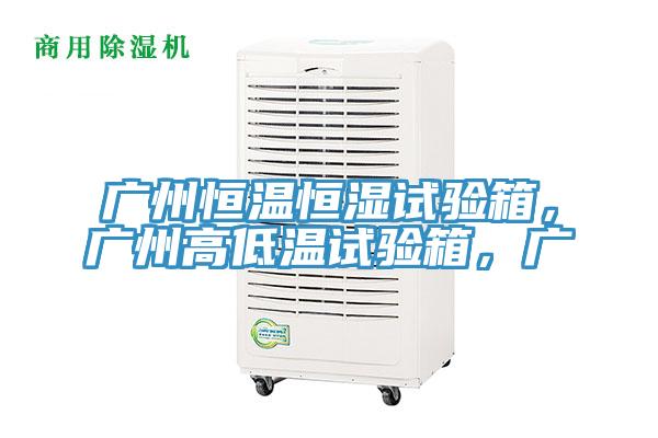 廣州恒溫恒濕試驗箱，廣州高低溫試驗箱，廣