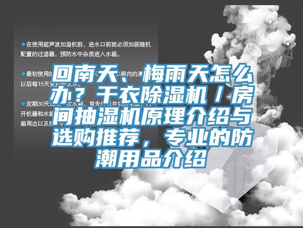 回南天、梅雨天怎么辦？干衣除濕機／房間抽濕機原理介紹與選購推薦，專業(yè)的防潮用品介紹