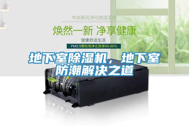 地下室除濕機(jī)，地下室防潮解決之道