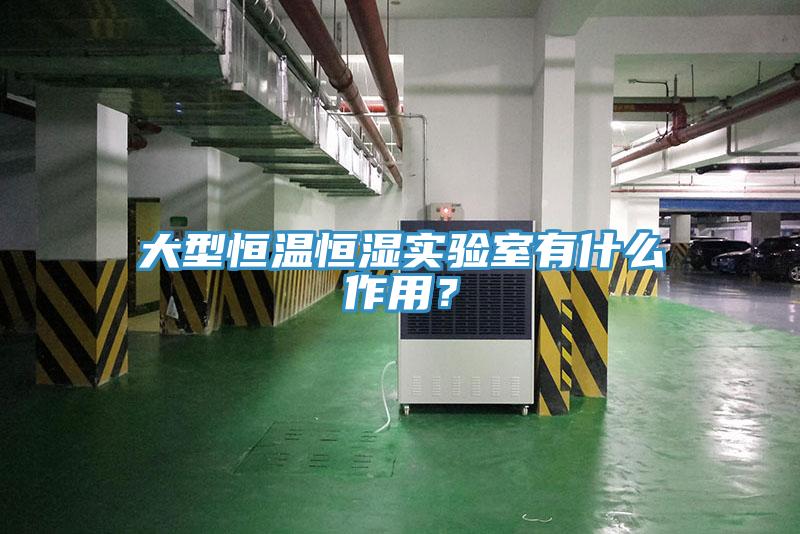 大型恒溫恒濕實(shí)驗(yàn)室有什么作用？