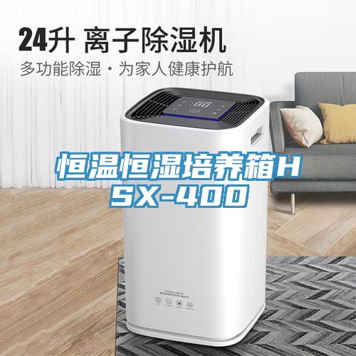 恒溫恒濕培養(yǎng)箱HSX-400