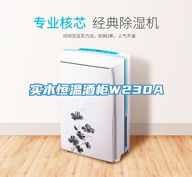 實木恒溫酒柜W230A
