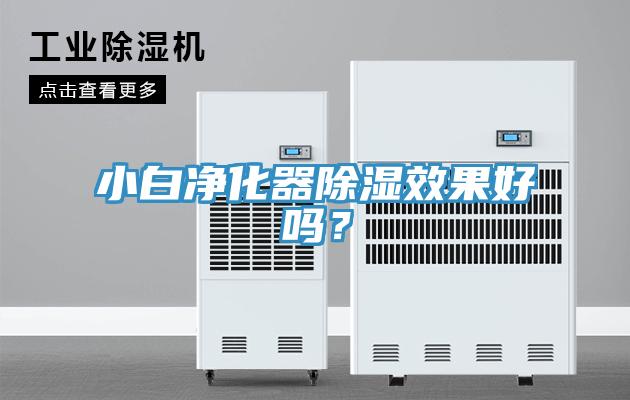 小白凈化器除濕效果好嗎？